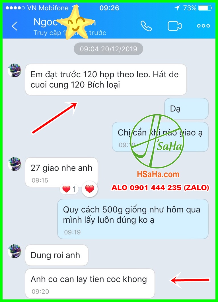 mua theo leo thap cam hat hsaha tet 2020 1 1