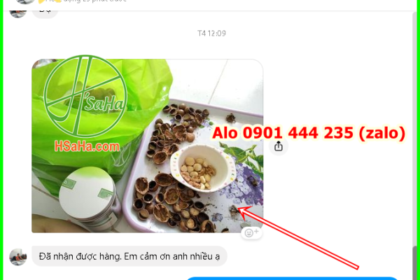 mua-qua-oc-cho-o-dau-huyen-binh-chanh-tphcm-hsaha-uy-tin-dam-bao-2