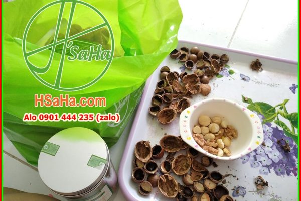 mua-qua-oc-cho-o-dau-huyen-binh-chanh-tphcm-hsaha-uy-tin-dam-bao-4