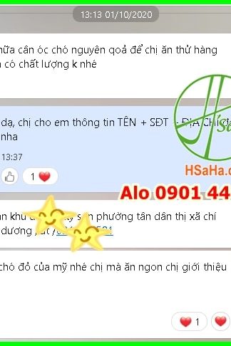 Mua quả óc chó đỏ Mỹ ở đâu tỉnh Hải Dương-6