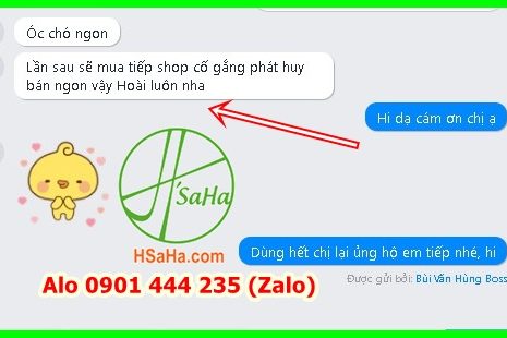 mua-qua-oc-cho-o-dau-quan-11-tphcm-hsaha-không-hôi-dau-3