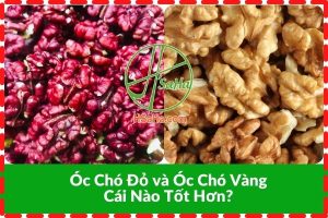 Hạt óc chó đỏ hay vàng tốt hơn