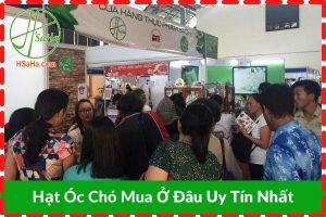 Mua Hạt óc chó ở đâu