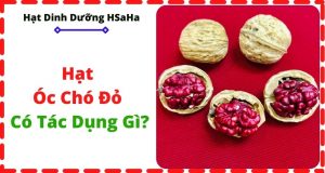 Hạt óc chó có tác dụng gì