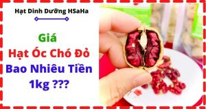 Hạt óc chó đỏ giá bao nhiêu tiền 1kg