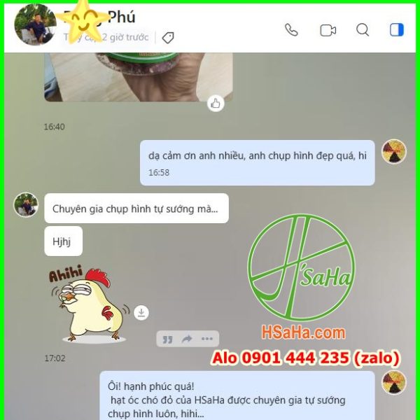 Mua nhân óc chó đỏ Mỹ ở đâu Uy tín HSaHa
