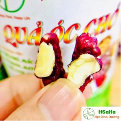 óc chó nhân đỏ
