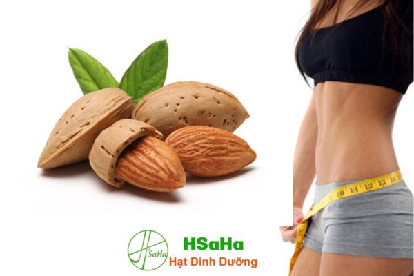 Ăn hạt hạnh nhân có béo không ăn hạt hạnh nhân có béo không