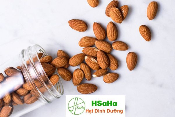 Hạt hạnh nhân bao nhiêu tiền 1kg? hạt hạnh nhân bao nhiêu tiền 1kg