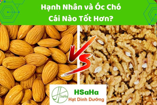 Hạnh nhân và óc chó cái nào tốt hơn hạnh nhân và óc chó cái nào tốt hơn