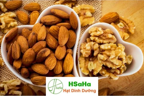 So sánh hạnh nhân và óc chó so sánh hạnh nhân và óc chó