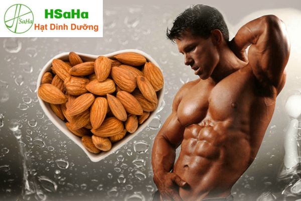 tác dụng của hạt hạnh nhân với đàn ông tác dụng của hạt hạnh nhân với đàn ông