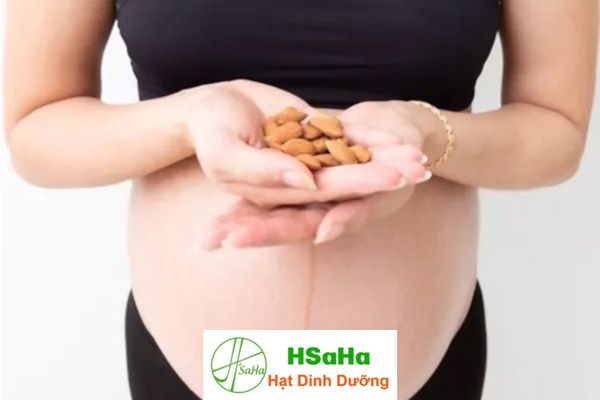 Hạt hạnh nhân có tác dụng gì cho bà bầu? hạt hạnh nhân có tác dụng gì cho bà bầu