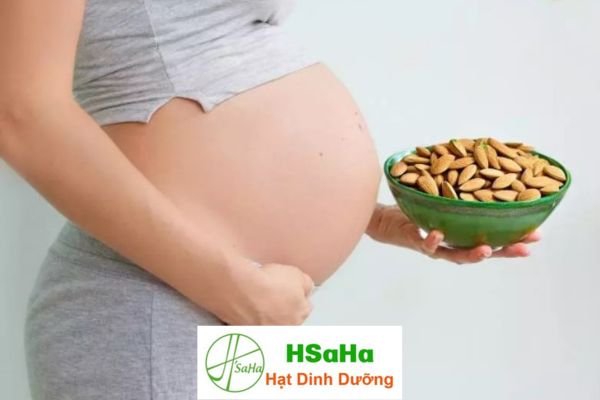 Hạt hạnh nhân có tốt cho bà bầu không? hạt hạnh nhân có tốt cho bà bầu không