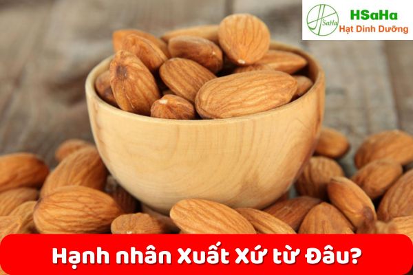 Hạt hạnh nhân xuất xứ từ đâu? hạt hạnh nhân xuất xứ từ đâu