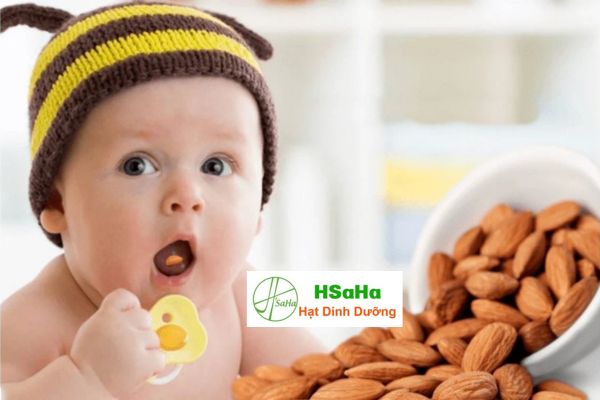 Thời điểm ăn hạt hạnh nhân cho trẻ em thời điểm ăn hạt hạnh nhân