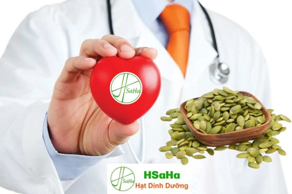 Công dụng hạt bí xanh tim mạch công dụng hạt bí xanh tim mạch