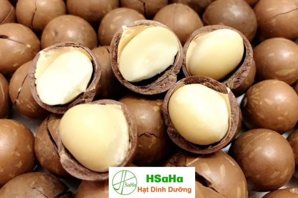 Một trong 5 loại hạt tốt cho bà bầu là mắc ca 5 loại hạt tốt cho bà bầu