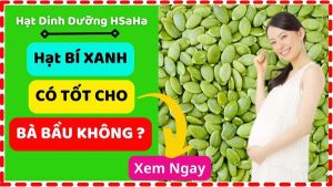 hạt bí xanh có tốt cho bà bầu không HSaHa