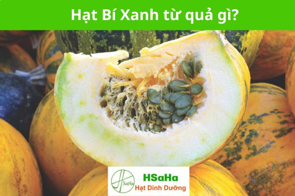 Hạt Bí Xanh từ quả gì? Hạt Bí Xanh từ quả gì