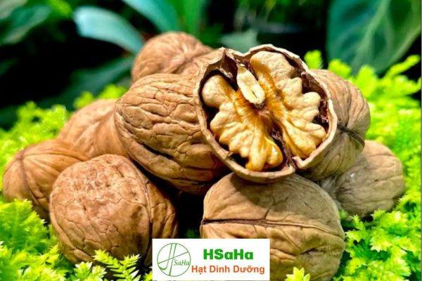 Hạt óc chó Mỹ Hạt óc chó Mỹ
