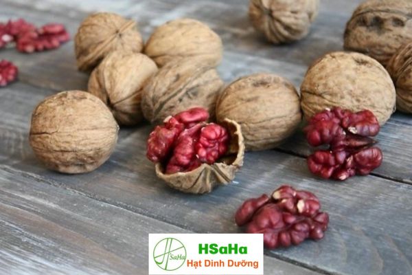 Hạt óc chó đỏ của Mỹ Hạt óc chó của Mỹ