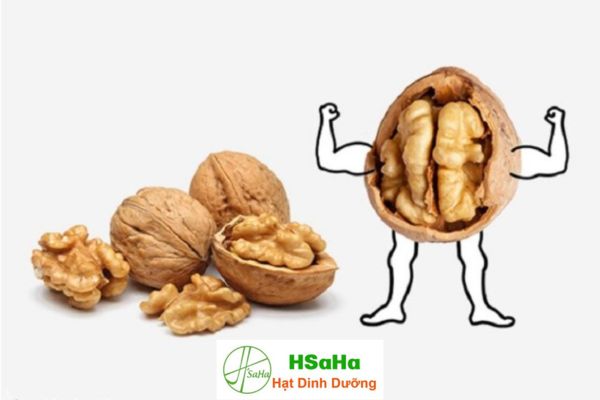 Các tác dụng của Óc chó Mỹ Óc chó Mỹ