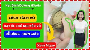Cách tách hạt óc chó HSaHa