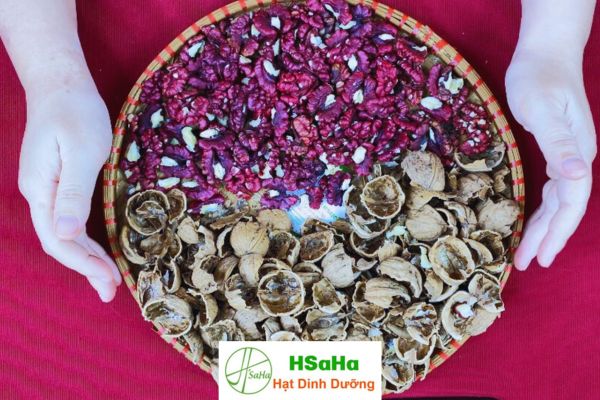 Quả óc chó đỏ chất lượng HSaHa Quả óc chó đỏ chất lượng