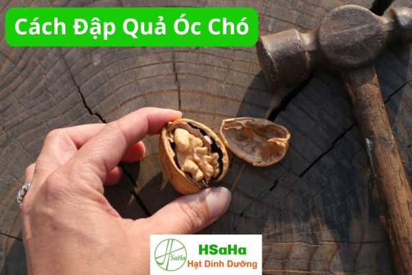 Cách đập quả óc chó bằng búa tại nhà Cách đập quả óc chó bằng búa