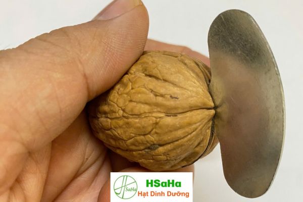 Cách bóc vỏ hạt óc chó bằng móc tách Cách bóc vỏ hạt óc chó bằng móc tách