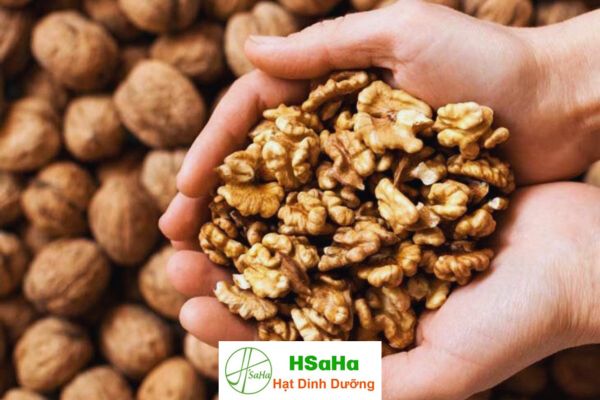 Quả óc chó nên ăn sống hay chín? Quả óc chó nên ăn sống hay chín
